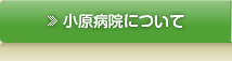 小原病院について