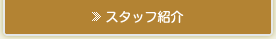 スタッフ紹介