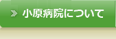 小原病院について